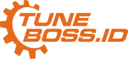 TuneBoss Logo