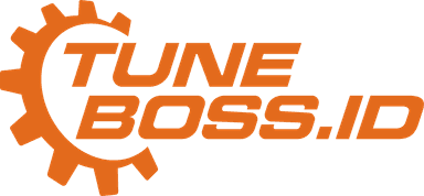 TuneBoss Logo
